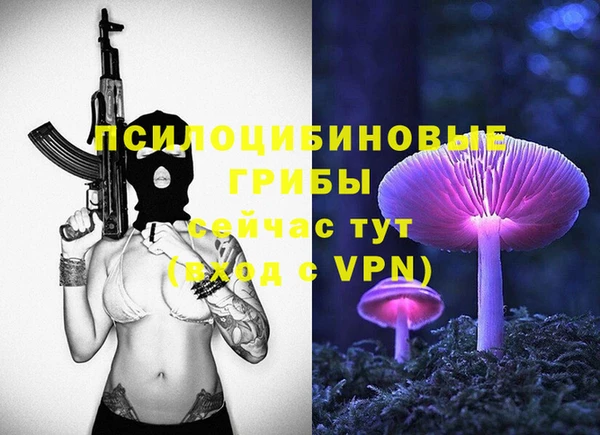 гидра Лабытнанги