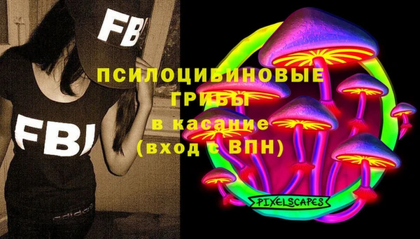 мдпв Ладушкин