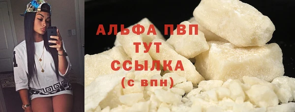 мдпв Ладушкин