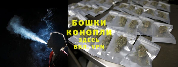 мдпв Ладушкин