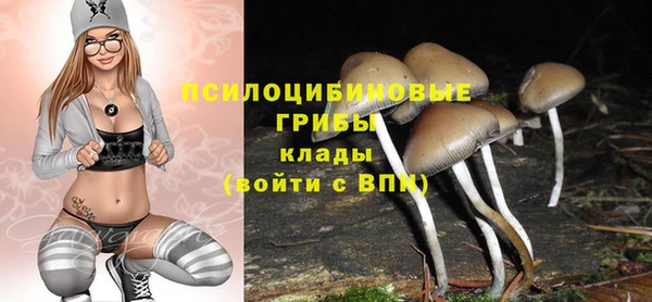 гидра Лабытнанги