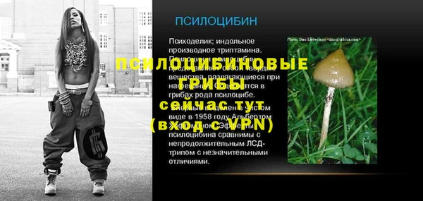 мдпв Ладушкин