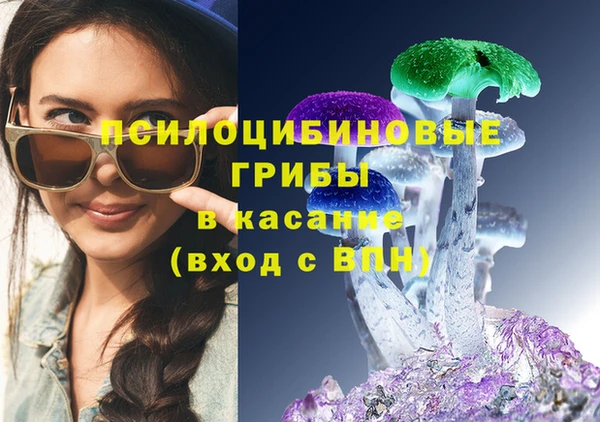 гидра Лабытнанги