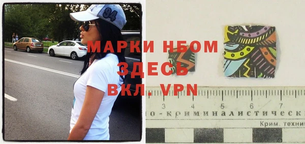 мдпв Ладушкин